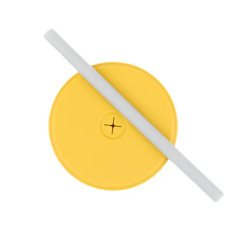 Hello Sunshine Straw Conversion Set